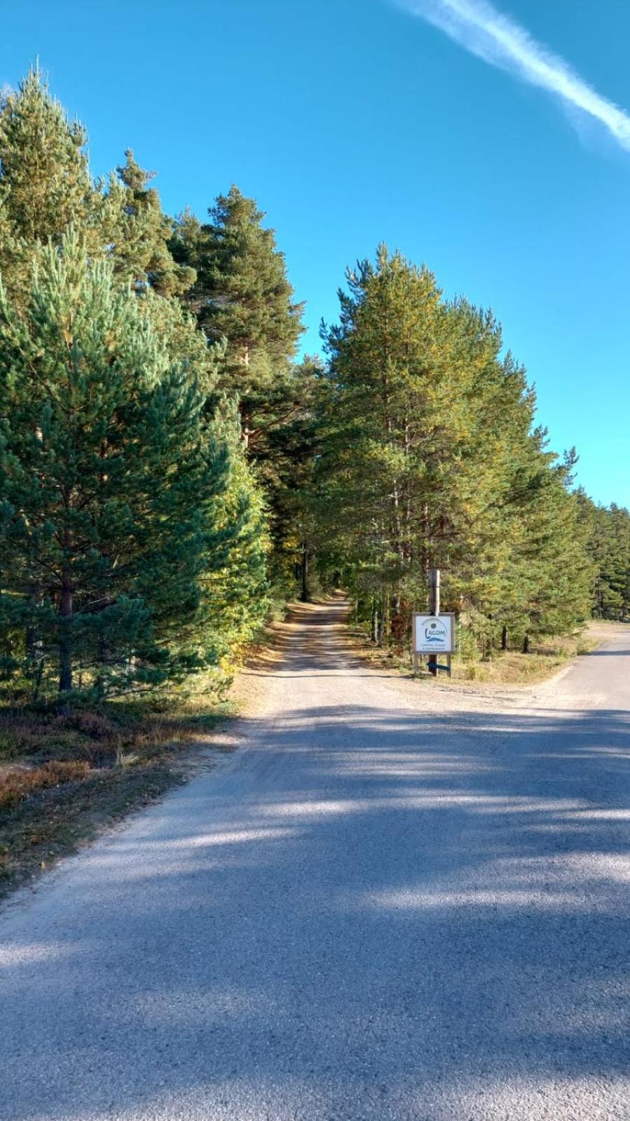Hostel And Vandrarhem Lupin Naturcamping Lagom Gräsmark Exterior foto